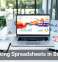 Rethinking Spreadsheets in Business